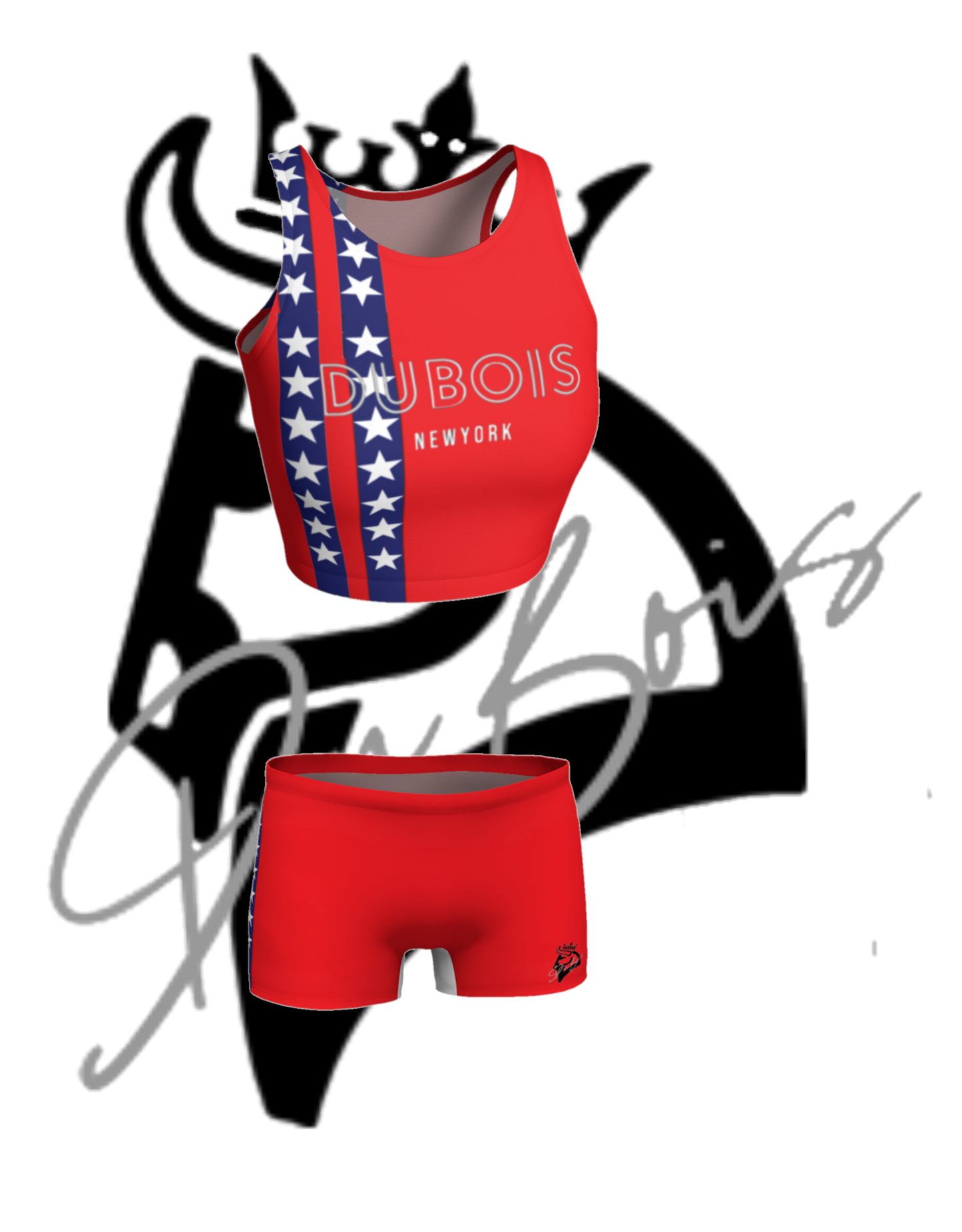 DuBois Stars Workout Bundle